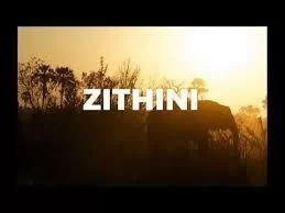 Mr Jazziq, Lady Du, Zuma, Busta 929, Zithini, Prod. FIBBS, mp3, download, datafilehost, toxicwap, fakaza, House Music, Amapiano, Amapiano 2021, Amapiano Mix, Amapiano Music