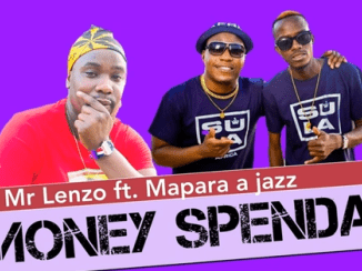 Mr Lenzo, Money Spenda, Mapara a Jazz, Charmza the DJ, Lady Fortune, Original, mp3, download, datafilehost, toxicwap, fakaza, House Music, Amapiano, Amapiano 2021, Amapiano Mix, Amapiano Music