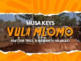 Musa Keys, Vula Mlomo, Sir Trill, Nobantu Vilakazi, mp3, download, datafilehost, toxicwap, fakaza, House Music, Amapiano, Amapiano 2021, Amapiano Mix, Amapiano Music