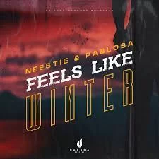 Neestie, PabloSA, Feels Like Winter, Afro Mix, mp3, download, datafilehost, toxicwap, fakaza, Afro House, Afro House 2021, Afro House Mix, Afro House Music, Afro Tech, House Music