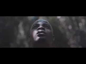 Nicole Elocin, Tyler ICU, DJ Maphorisa, Myztro, We Find Love, Video, mp3, download, datafilehost, toxicwap, fakaza, House Music, Amapiano, Amapiano 2021, Amapiano Mix, Amapiano Music