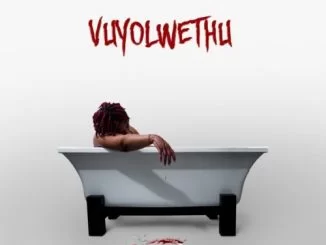 Nue Sam, Vuyolwethu, Buhlebendalo, mp3, download, datafilehost, toxicwap, fakaza, Afro House, Afro House 2021, Afro House Mix, Afro House Music, Afro Tech, House Music