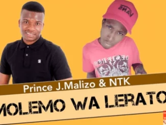 Prince J.Malizo, NTK, Molemo wa Lerato, mp3, download, datafilehost, toxicwap, fakaza, Afro House, Afro House 2021, Afro House Mix, Afro House Music, Afro Tech, House Music
