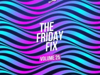 Ryan The DJ, Friday Fix Vol. 25, mp3, download, datafilehost, toxicwap, fakaza, Afro House, Afro House 2021, Afro House Mix, Afro House Music, Afro Tech, House Music