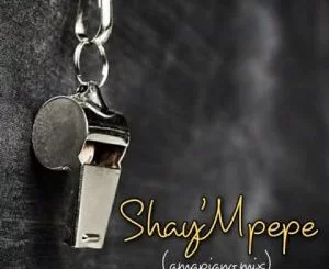 Shay’mpempe, Amapiano mix, DJ Mavuthela, Ribby De DJ, Rhino, mp3, download, datafilehost, toxicwap, fakaza, House Music, Amapiano, Amapiano 2021, Amapiano Mix, Amapiano Music