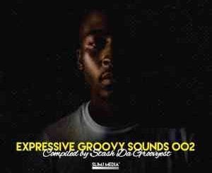 Stash Da Groovyest, Expressive Groovy Sounds 002 Mix, mp3, download, datafilehost, toxicwap, fakaza, House Music, Amapiano, Amapiano 2021, Amapiano Mix, Amapiano Music