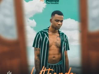 T’kinzy, Uthando, Mlindo The Vocalist, mp3, download, datafilehost, toxicwap, fakaza, Afro House, Afro House 2021, Afro House Mix, Afro House Music, Afro Tech, House Music