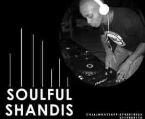 Tupac Da Dj, Soulful Shandies Episode 65 Mix, mp3, download, datafilehost, toxicwap, fakaza, Soulful House Mix, Soulful House, Soulful House Music, House Music