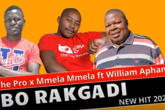 VT The Pro, Mmela Mmela, Bo Rakgadi, William Aphane, mp3, download, datafilehost, toxicwap, fakaza, Afro House, Afro House 2021, Afro House Mix, Afro House Music, Afro Tech, House Music