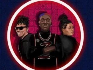 Zinoleesky, Kilofeshe, Remix, Mayorkun, Busiswa, mp3, download, datafilehost, toxicwap, fakaza, Afro House, Afro House 2021, Afro House Mix, Afro House Music, Afro Tech, House Music