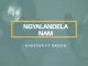 khestar, Ngyalandela Nam, Snqoh, mp3, download, datafilehost, toxicwap, fakaza, House Music, Amapiano, Amapiano 2021, Amapiano Mix, Amapiano Music