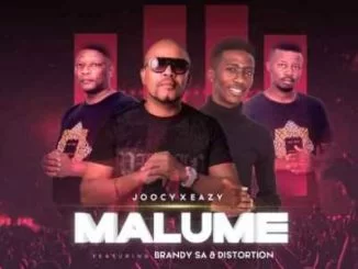 BrandySA, Distortion, Malume, Joocy, Eazy, mp3, download, datafilehost, toxicwap, fakaza, Afro House, Afro House 2021, Afro House Mix, Afro House Music, Afro Tech, House Music