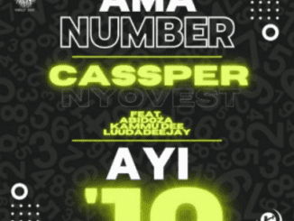 Cassper Nyovest, Ama Number Ayi ’10, Abidoza, Kammu Dee, LuuDadeejay, mp3, download, datafilehost, toxicwap, fakaza, House Music, Amapiano, Amapiano 2021, Amapiano Mix, Amapiano Music