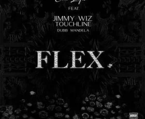Citi Lyts, Flex, Touchline, Jimmy Wiz, Dubb Mandela, mp3, download, datafilehost, toxicwap, fakaza, Afro House, Afro House 2021, Afro House Mix, Afro House Music, Afro Tech, House Music