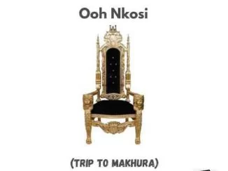 King SA, Ooh Nkosi, download ,zip, zippyshare, fakaza, EP, datafilehost, album, House Music, Amapiano, Amapiano 2021, Amapiano Mix, Amapiano Music