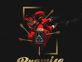 MBzet, Promise, Anita Miya Moh, Anita Miya, mp3, download, datafilehost, toxicwap, fakaza, House Music, Amapiano, Amapiano 2021, Amapiano Mix, Amapiano Music