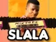 Prince J Malizo, NTK, SLALA, mp3, download, datafilehost, toxicwap, fakaza, Afro House, Afro House 2021, Afro House Mix, Afro House Music, Afro Tech, House Music