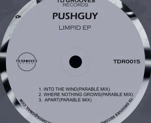 Pushguy, LIMPID, download ,zip, zippyshare, fakaza, EP, datafilehost, album, Deep House Mix, Deep House, Deep House Music, Deep Tech, Afro Deep Tech, House Music