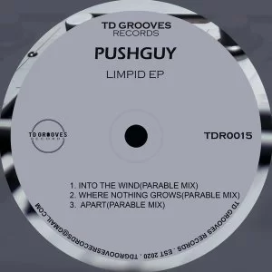 Pushguy, LIMPID, download ,zip, zippyshare, fakaza, EP, datafilehost, album, Deep House Mix, Deep House, Deep House Music, Deep Tech, Afro Deep Tech, House Music