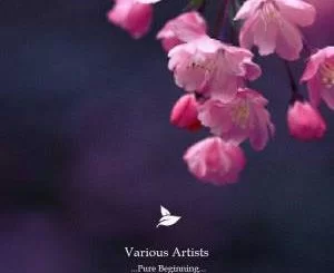 VA, Pure Beginning, Vol. 1, download ,zip, zippyshare, fakaza, EP, datafilehost, album, Deep House Mix, Deep House, Deep House Music, Deep Tech, Afro Deep Tech, House Music