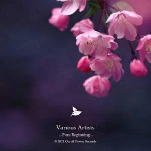 VA, Pure Beginning, Vol. 1, download ,zip, zippyshare, fakaza, EP, datafilehost, album, Deep House Mix, Deep House, Deep House Music, Deep Tech, Afro Deep Tech, House Music