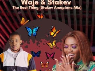 Waje, The Best Thing, Stakev, Stakev Amapiano Mix, mp3, download, datafilehost, toxicwap, fakaza, House Music, Amapiano, Amapiano 2021, Amapiano Mix, Amapiano Music