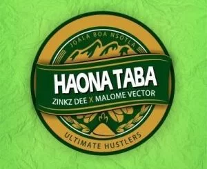 Zinkz Dee, Haona Taba, Malome Vector, mp3, download, datafilehost, toxicwap, fakaza, Afro House, Afro House 2021, Afro House Mix, Afro House Music, Afro Tech, House Music