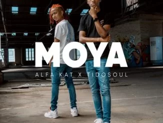 Alfa Kat, TidoSoul, Halakasha, Banaba Des, mp3, download, datafilehost, toxicwap, fakaza, House Music, Amapiano, Amapiano 2021, Amapiano Mix, Amapiano Music
