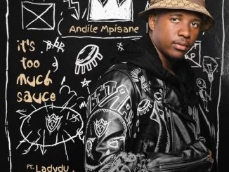 Andile Mpisane, It’s Too Much Sauce, LadyDu, Reece, Zuma, mp3, download, datafilehost, toxicwap, fakaza, House Music, Amapiano, Amapiano 2021, Amapiano Mix, Amapiano Music