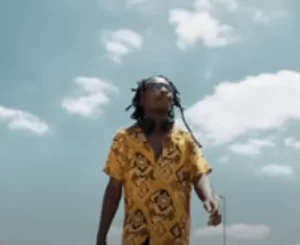 DJ Obza, Road To Vigro, Video, mp3, download, datafilehost, toxicwap, fakaza, House Music, Amapiano, Amapiano 2021, Amapiano Mix, Amapiano Music