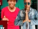 DJ STICKER, BA GOBA LE CHELETE, LEREMI & MR ROX, mp3, download, datafilehost, toxicwap, fakaza, Afro House, Afro House 2021, Afro House Mix, Afro House Music, Afro Tech, House Music