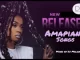 Dj Malonda, Amapiano Mix 2021, The best of amapiano 2021, Video, mp3, download, datafilehost, toxicwap, fakaza, House Music, Amapiano, Amapiano 2021, Amapiano Mix, Amapiano Music