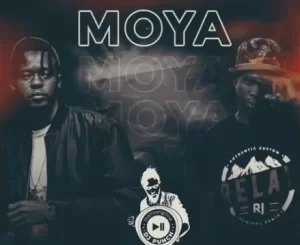 Dj Punch, Sotb9leven, Moya, Original, mp3, download, datafilehost, toxicwap, fakaza, House Music, Amapiano, Amapiano 2021, Amapiano Mix, Amapiano Music