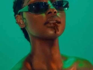 DrummeR Tee, Phola, Drugger Boyz, De Native, Boontle, mp3, download, datafilehost, toxicwap, fakaza, House Music, Amapiano, Amapiano 2021, Amapiano Mix, Amapiano Music