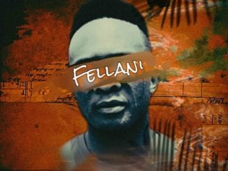 Fellani, Liyashona ilanga, PuleNP Rsa, mp3, download, datafilehost, toxicwap, fakaza, Afro House, Afro House 2021, Afro House Mix, Afro House Music, Afro Tech, House Music