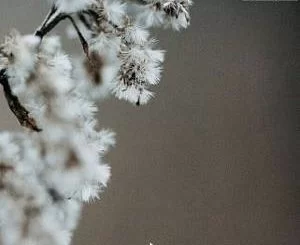 Legacy202, Dyson Sphere, download ,zip, zippyshare, fakaza, EP, datafilehost, album, Deep House Mix, Deep House, Deep House Music, Deep Tech, Afro Deep Tech, House Music