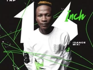 MDU aka TRP, 16 Inch, Dance Mix, mp3, download, datafilehost, toxicwap, fakaza, House Music, Amapiano, Amapiano 2021, Amapiano Mix, Amapiano Music