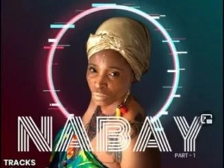 Matto Cole, Nabay, Enoo Napa Travellerz Remix, mp3, download, datafilehost, toxicwap, fakaza, Afro House, Afro House 2021, Afro House Mix, Afro House Music, Afro Tech, House Music