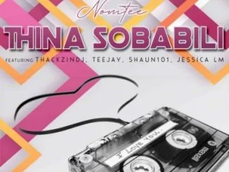 NomTee, Thina Sobabili, Jessica LM, ThackzinDj, Tee Jay, Shaun 101, mp3, download, datafilehost, toxicwap, fakaza, House Music, Amapiano, Amapiano 2021, Amapiano Mix, Amapiano Music