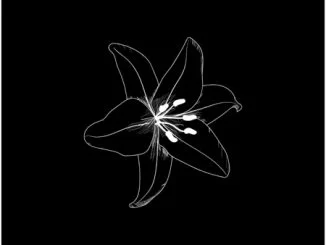 Nutty Nys, Inside, Taints Remix, mp3, download, datafilehost, toxicwap, fakaza, Deep House Mix, Deep House, Deep House Music, Deep Tech, Afro Deep Tech, House Music