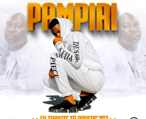 Pampiri, Ngwanona, Mr JazziQ , Busta 929, Papers70, Zuma, mp3, download, datafilehost, toxicwap, fakaza, House Music, Amapiano, Amapiano 2021, Amapiano Mix, Amapiano Music