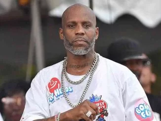 Ryan the DJ, The Artist Evolution Mix, Strictly DMX, mp3, download, datafilehost, toxicwap, fakaza, Hiphop, Hip hop music, Hip Hop Songs, Hip Hop Mix, Hip Hop, Rap, Rap Music