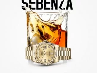 Sebenz, Mgiftoz S, Busta 929, mp3, download, datafilehost, toxicwap, fakaza, Gqom Beats, Gqom Songs, Gqom Music, Gqom Mix, House Music