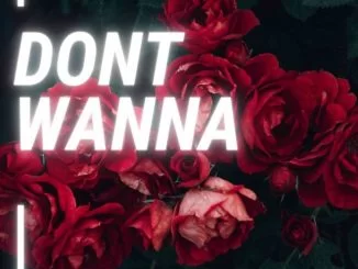 Sinny Man’Que, DJ Malibu, Mandy Bird, Don’t Wanna, mp3, download, datafilehost, toxicwap, fakaza, House Music, Amapiano, Amapiano 2021, Amapiano Mix, Amapiano Music