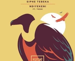 Siphe Tebeka, Toshi, Ndiyekeni, Edit, mp3, download, datafilehost, toxicwap, fakaza, Afro House, Afro House 2021, Afro House Mix, Afro House Music, Afro Tech, House Music
