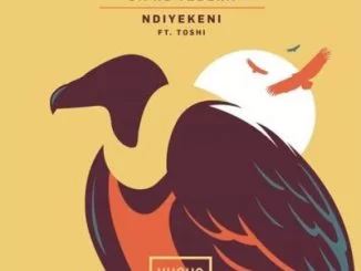 Siphe Tebeka, Ndiyekeni, Mozaik Remix, Toshi, mp3, download, datafilehost, toxicwap, fakaza, Afro House, Afro House 2021, Afro House Mix, Afro House Music, Afro Tech, House Music