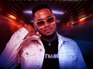 Skillz, Inhlokohlela,DJ Tira, Mampintsha, Beast, General C’mamane, mp3, download, datafilehost, toxicwap, fakaza, Gqom Beats, Gqom Songs, Gqom Music, Gqom Mix, House Music