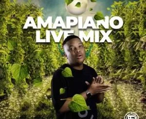Snow Deep, Amapiano Live Mix, mp3, download, datafilehost, toxicwap, fakaza, House Music, Amapiano, Amapiano 2021, Amapiano Mix, Amapiano Music