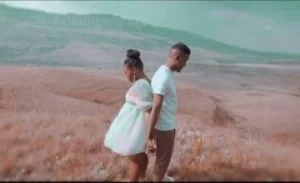 Sun-EL Musician – Never Never ft. Nobuhle