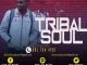 Tribal Soul, SOA Exclusive Selections Vol. 1, mp3, download, datafilehost, toxicwap, fakaza, House Music, Amapiano, Amapiano 2021, Amapiano Mix, Amapiano Music